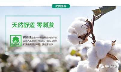 一朵棉花，一個(gè)國(guó)牌 醫(yī)用敷料OEM的國(guó)民品牌轉(zhuǎn)型與資本之路