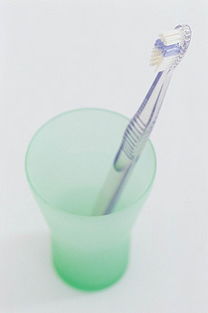 生活日用品素材全攻略 從圖片、背景到模板的一站式解決方案